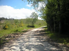 DSCN5362 DSCN5362