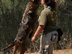 Zoo Barcelona, Faunia y Safari Madrid 1542