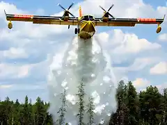 MNRWaterBomberDrop