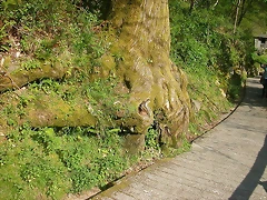 DSCN6747 DSCN6747