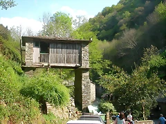 DSCN6750 DSCN6750