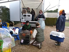 viaje15 viaje15
