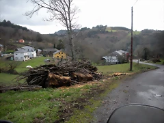 DSCN2781 DSCN2781