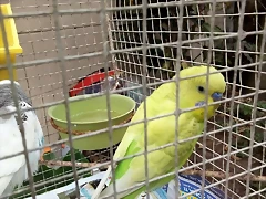 IMG_20180715_161542