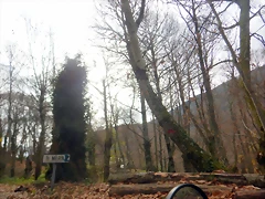 DSCN2117 DSCN2117