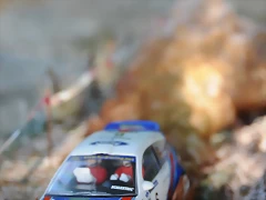 DSC_1358 DSC_1358