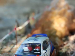 DSC_1359 DSC_1359