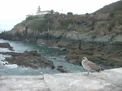 DSCN2851 DSCN2851