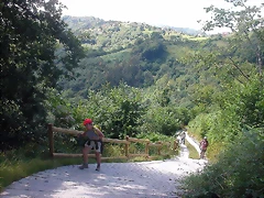 DSCN2720 DSCN2720