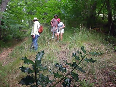 DSCN2744 DSCN2744