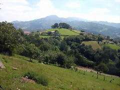 DSCN2729 DSCN2729