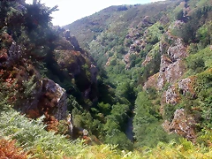 DSCN2507 DSCN2507