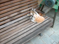 DSCN2552 DSCN2552