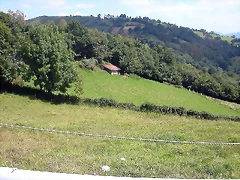 DSCN2733 DSCN2733