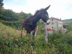 DSCN2761 DSCN2761