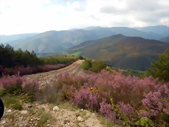 DSCN9599 DSCN9599