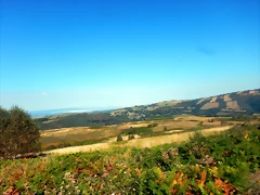 DSCN7732 DSCN7732