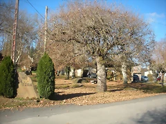 DSCN2169 DSCN2169