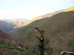 DSCN8590