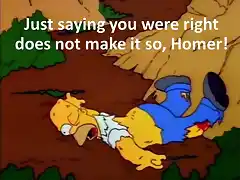 Homer Injuries