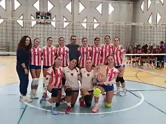 cadvoley24