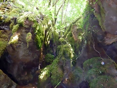 DSCN4931 DSCN4931