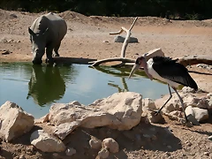 Al Ain Zoo - Atlantis - 19-12-08 039 Al Ain Zoo - Atlantis - 19-12-08 039