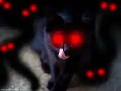 gatos_negros_gothicvsdark.blogspot.com_ (5)