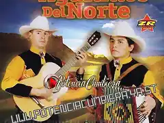 Los Aguilillos Del Norte - Carrera contra La Muerte CD
