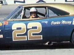 Dodge Charger Bobby Allison - 1