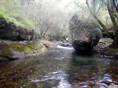 DSCN7986 DSCN7986