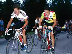 Perico-Tour1987-Roche-Alcal?