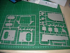 DSCN3052