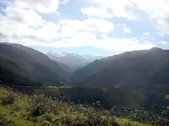 DSCN7737 DSCN7737