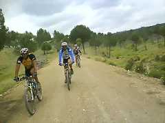 via verde via verde