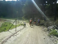 parada parada