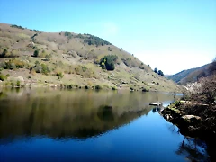DSCN5159 DSCN5159