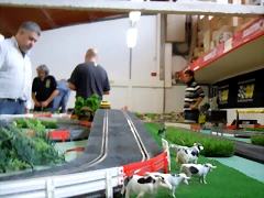 TdF_ 050 TdF_ 050
