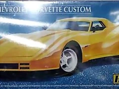 Heller Chevrolet Corvette Custom Heller Chevrolet Corvette Custom