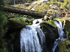 alemania 2011 114