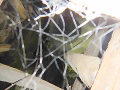 DSCN1596 DSCN1596