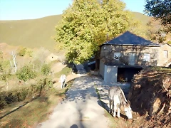 DSCN8764 DSCN8764