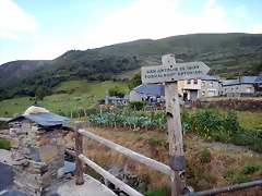 DSCN7079 DSCN7079