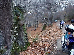 DSCN9678 DSCN9678