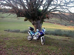 DSCN5822 DSCN5822