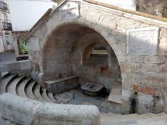 DSCN5629