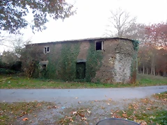 DSCN0644
