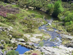 143-Imagen 153 143-Imagen 153