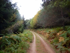 DSCN9944 DSCN9944