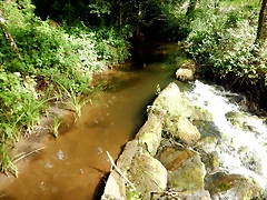 DSCN4546 DSCN4546